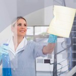 Young Maid With Bottle And Sponge