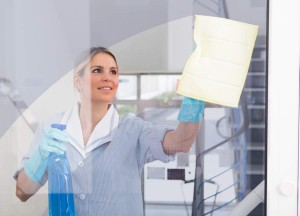 Young Maid With Bottle And Sponge